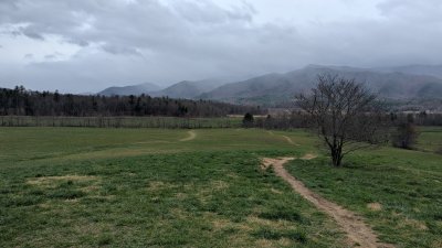 PXL_20260315_213651001