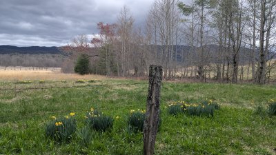 PXL_20260315_223248219.MP