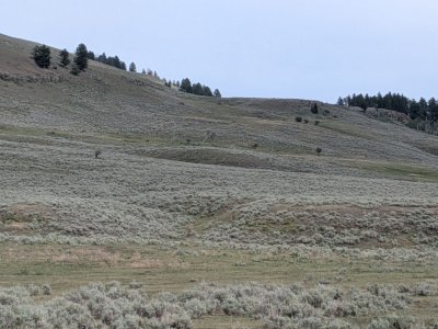 PXL_20260729_233609744