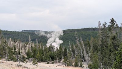 PXL_20260728_012838459.MP