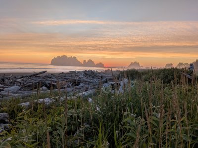 PXL_20260721_040845959