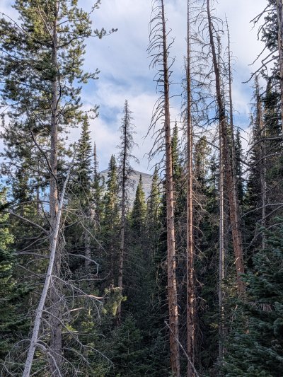 PXL_20260806_000337544